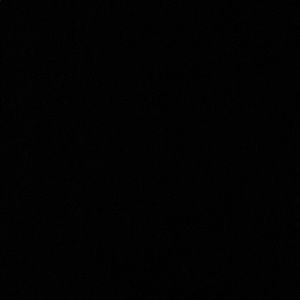 Meet your Posher, Kasey